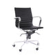 Decade Modern Classic Aluminum Office Chair (Set of 2)