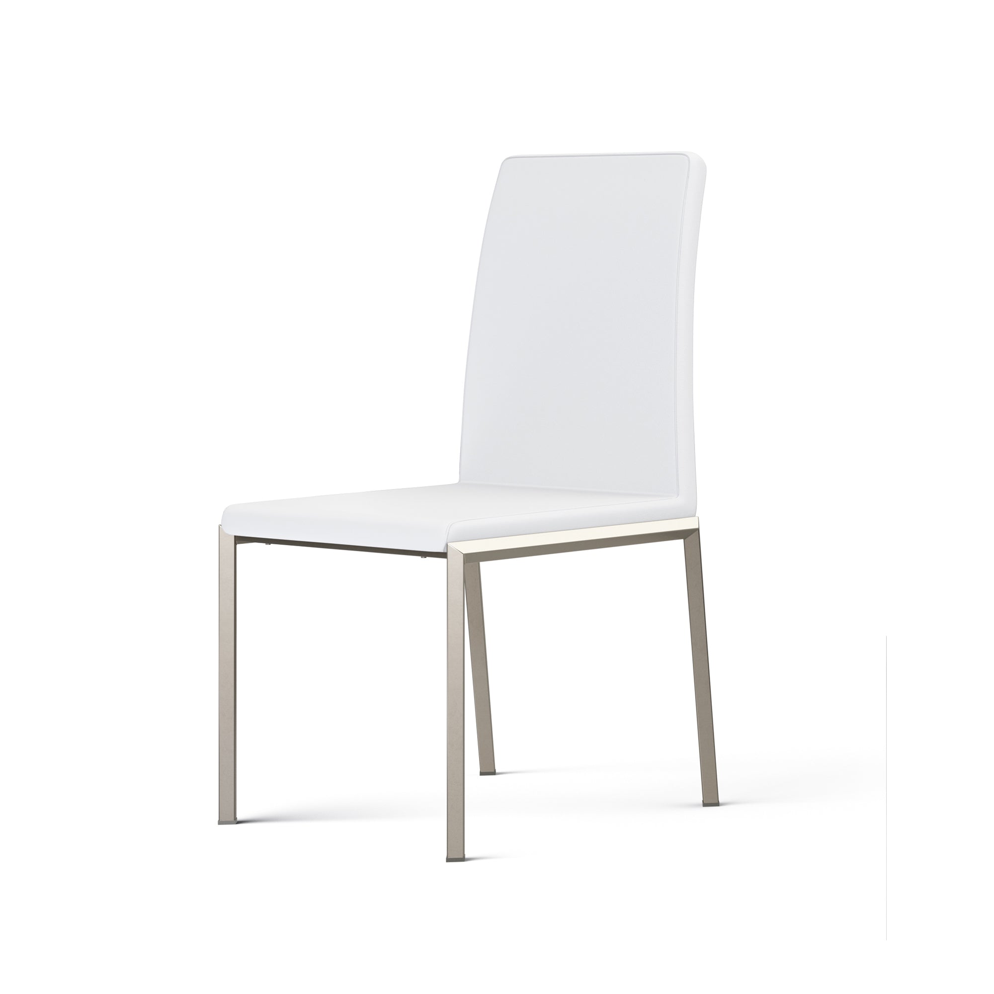 Beyond Modern-Societal Dining Chair-Dining Chair-MODTEMPO