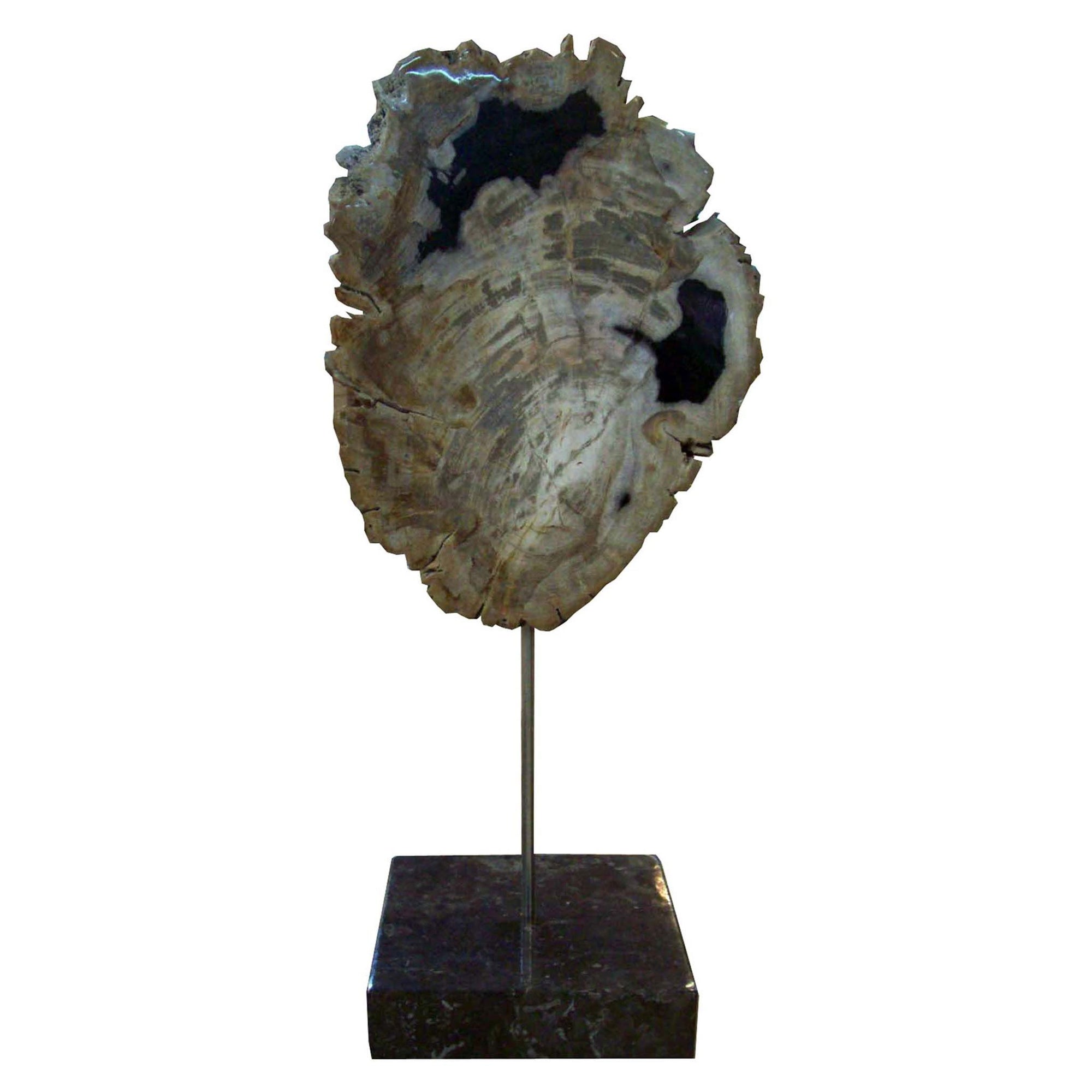 MOES-PETRIFIED WOOD SCULPTURE ON  BASE-Decorative Objects-MODTEMPO